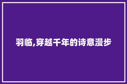 羽临,穿越千年的诗意漫步 生活感悟