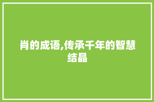 肖的成语,传承千年的智慧结晶 工作类