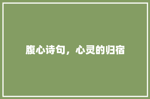 腹心诗句，心灵的归宿