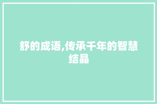 舒的成语,传承千年的智慧结晶