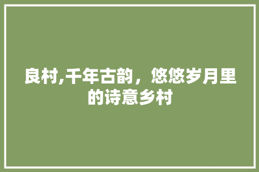 良村,千年古韵，悠悠岁月里的诗意乡村