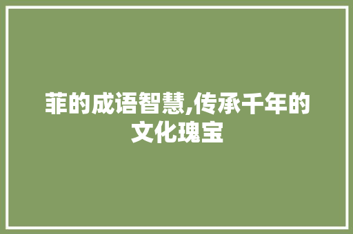 菲的成语智慧,传承千年的文化瑰宝