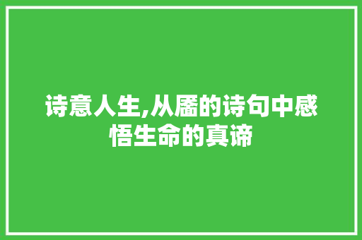 诗意人生,从靥的诗句中感悟生命的真谛
