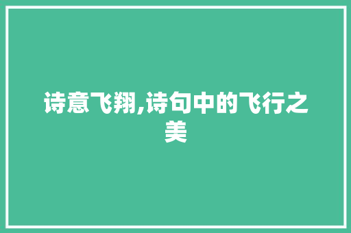 诗意飞翔,诗句中的飞行之美