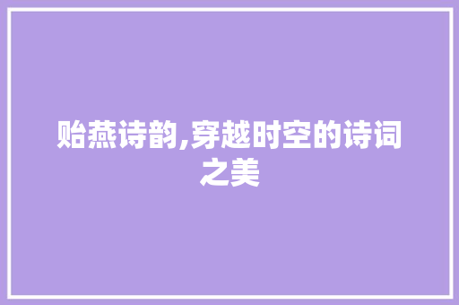 贻燕诗韵,穿越时空的诗词之美 工作报告