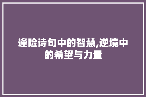 逢险诗句中的智慧,逆境中的希望与力量