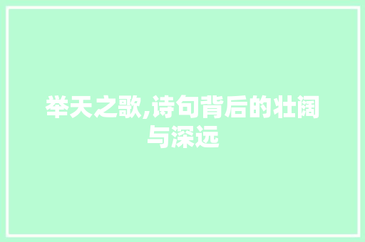举天之歌,诗句背后的壮阔与深远 生活类