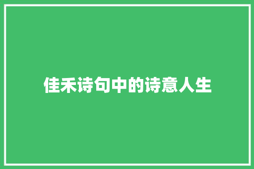 佳禾诗句中的诗意人生