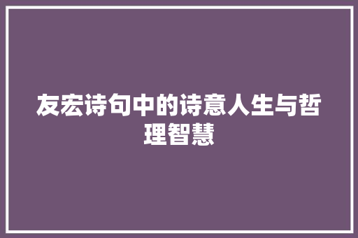 友宏诗句中的诗意人生与哲理智慧