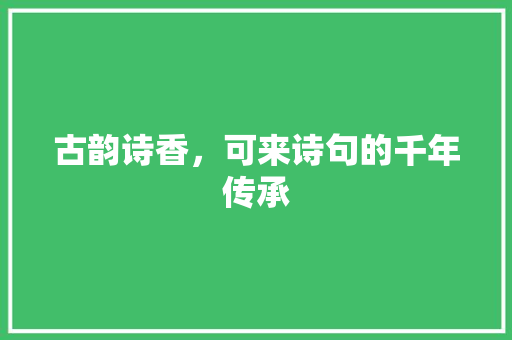 古韵诗香，可来诗句的千年传承