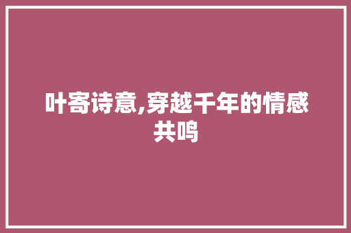 叶寄诗意,穿越千年的情感共鸣