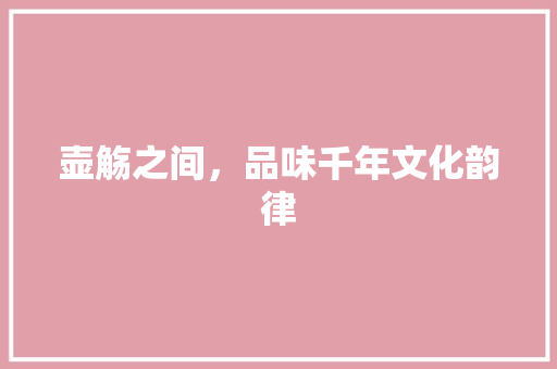 壶觞之间，品味千年文化韵律 生活随笔