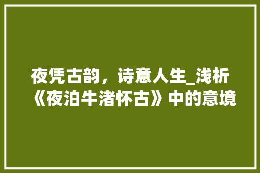 夜凭古韵，诗意人生_浅析《夜泊牛渚怀古》中的意境与哲理