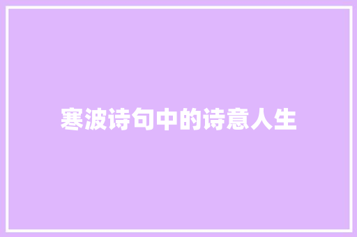 寒波诗句中的诗意人生 生活感悟