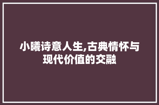 小曦诗意人生,古典情怀与现代价值的交融