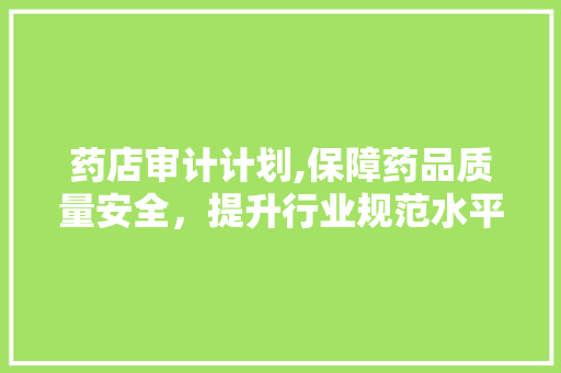 药店审计计划,保障药品质量安全，提升行业规范水平