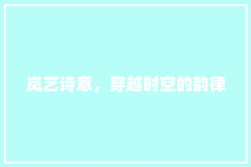 岚艺诗意，穿越时空的韵律