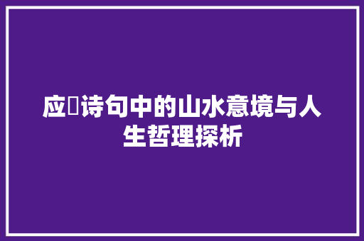 应玚诗句中的山水意境与人生哲理探析 工作总结