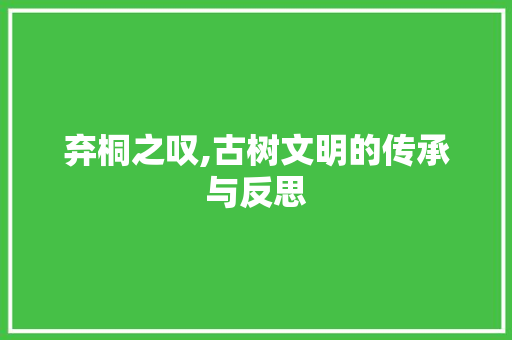 弃桐之叹,古树文明的传承与反思