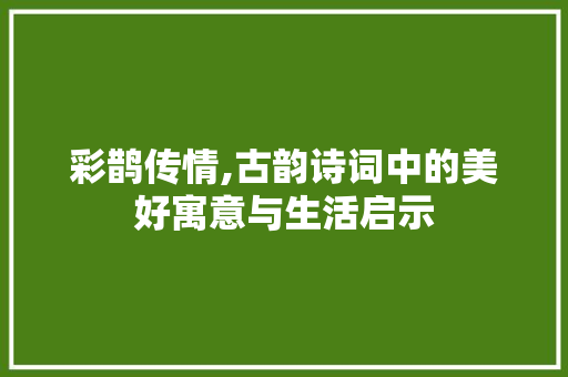 彩鹊传情,古韵诗词中的美好寓意与生活启示