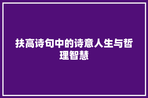 扶高诗句中的诗意人生与哲理智慧 工作总结