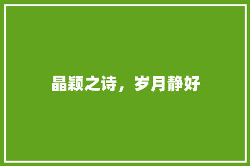 晶颖之诗，岁月静好