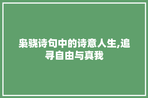 枭骁诗句中的诗意人生,追寻自由与真我