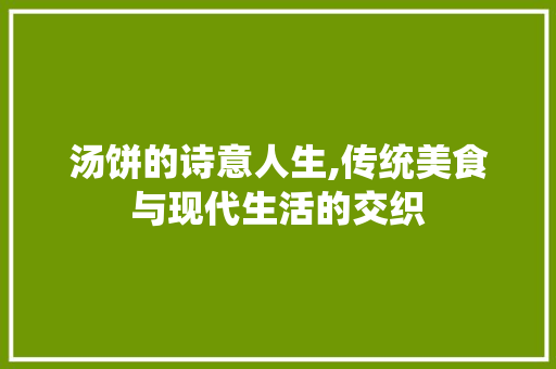 汤饼的诗意人生,传统美食与现代生活的交织 商业文稿