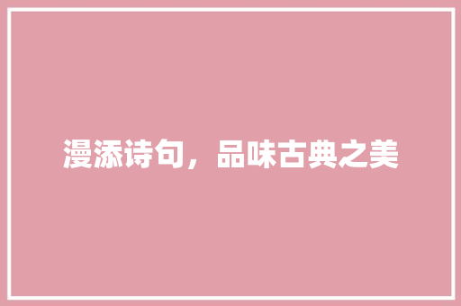 漫添诗句，品味古典之美 采访稿