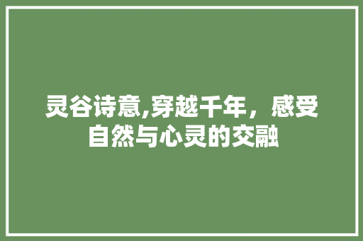 灵谷诗意,穿越千年，感受自然与心灵的交融 工作报告