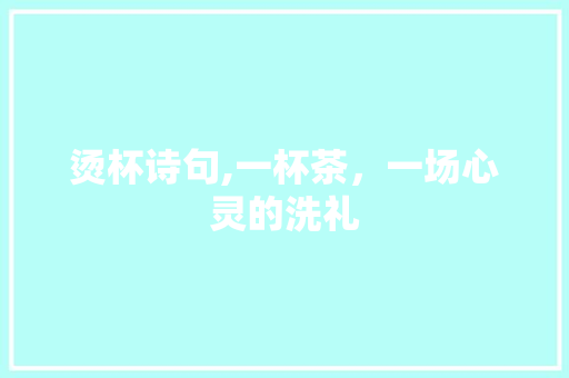 烫杯诗句,一杯茶，一场心灵的洗礼