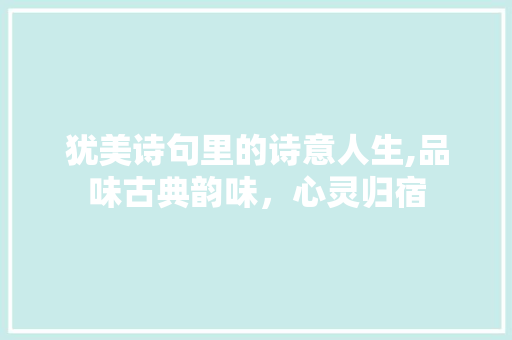 犹美诗句里的诗意人生,品味古典韵味，心灵归宿 生活随笔