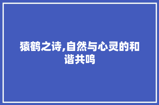 猿鹤之诗,自然与心灵的和谐共鸣 采访稿