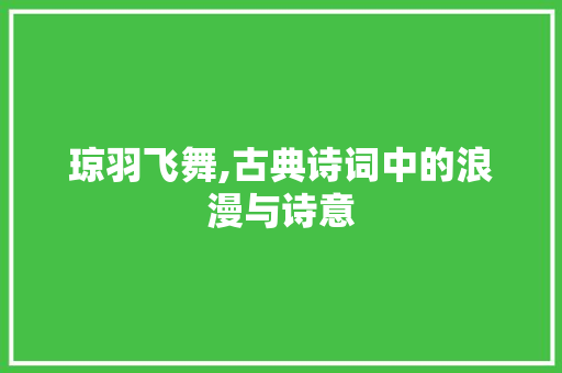 琼羽飞舞,古典诗词中的浪漫与诗意