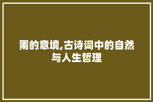 罱的意境,古诗词中的自然与人生哲理