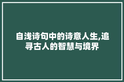 自浅诗句中的诗意人生,追寻古人的智慧与境界