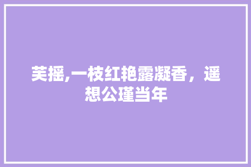 芙摇,一枝红艳露凝香，遥想公瑾当年