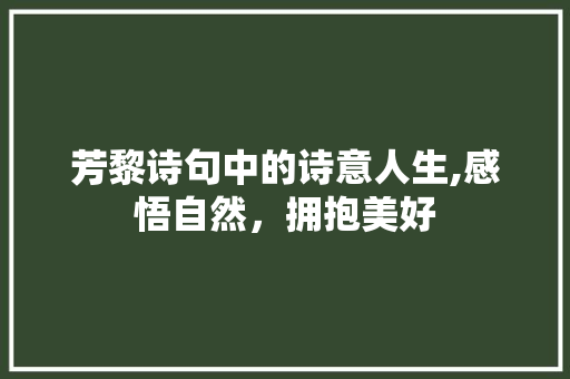 芳黎诗句中的诗意人生,感悟自然，拥抱美好
