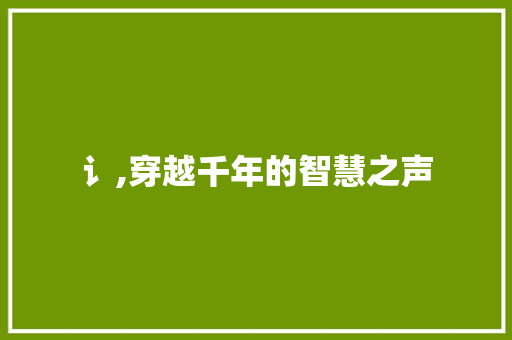 讠,穿越千年的智慧之声