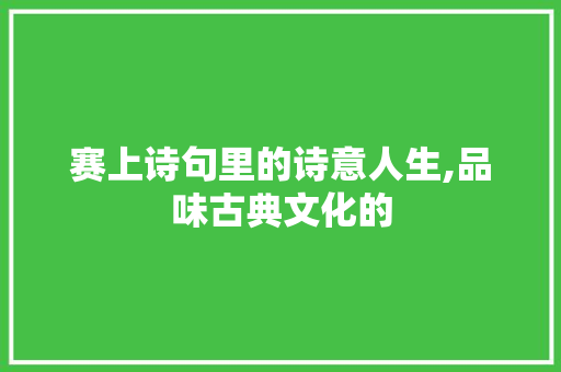 赛上诗句里的诗意人生,品味古典文化的