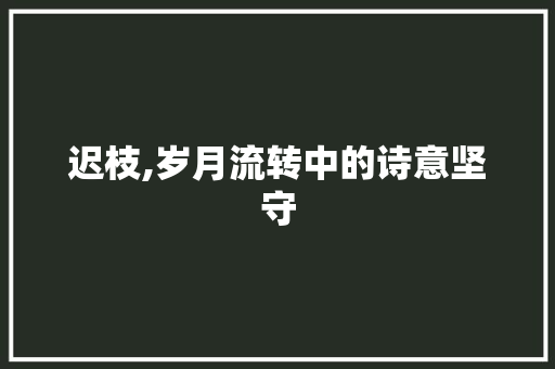 迟枝,岁月流转中的诗意坚守