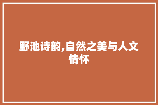 野池诗韵,自然之美与人文情怀
