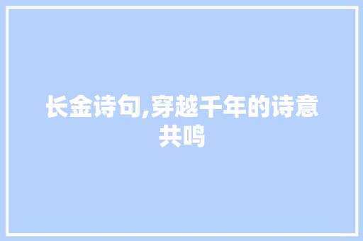 长金诗句,穿越千年的诗意共鸣