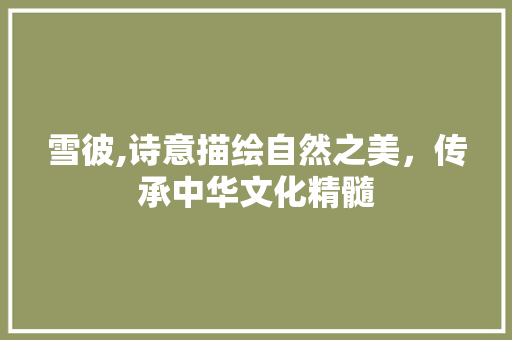 雪彼,诗意描绘自然之美，传承中华文化精髓