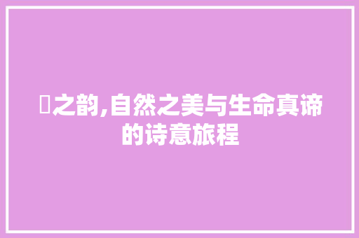 鮡之韵,自然之美与生命真谛的诗意旅程