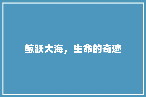 鲸跃大海，生命的奇迹