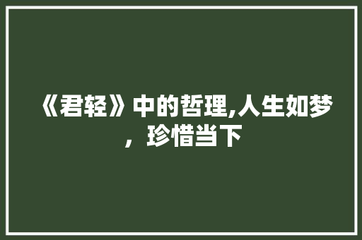《君轻》中的哲理,人生如梦，珍惜当下