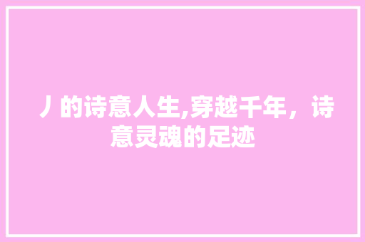 丿的诗意人生,穿越千年，诗意灵魂的足迹