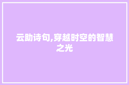 云助诗句,穿越时空的智慧之光