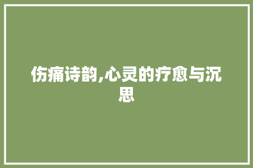 伤痛诗韵,心灵的疗愈与沉思 生活感悟